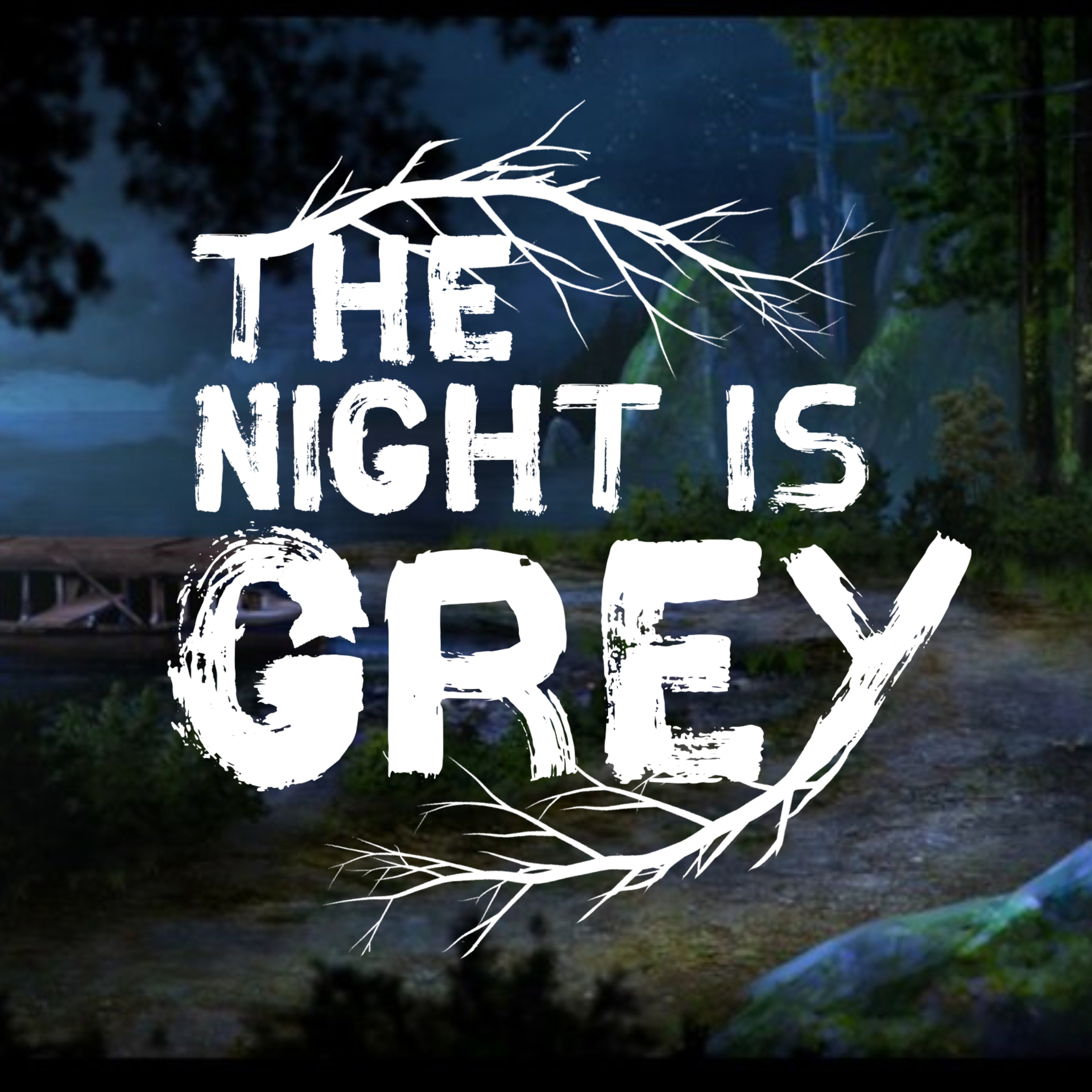 The Night Is Grey
